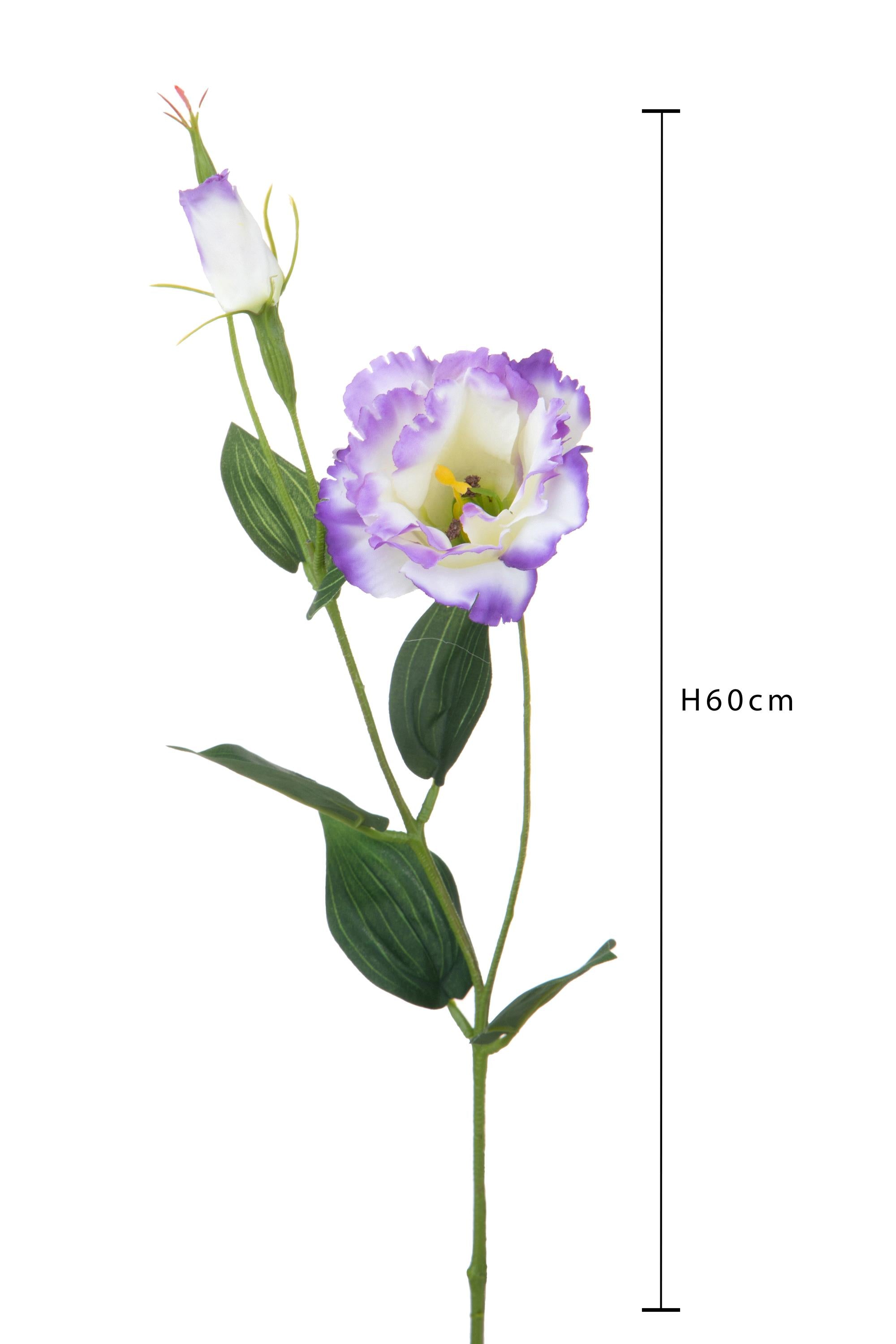 Set 12 Rami Artificiali Lisianthus 2 Fiori H 60 cm