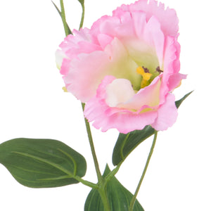 Set 12 Rami Artificiali Lisianthus 2 Fiori H 60 cm