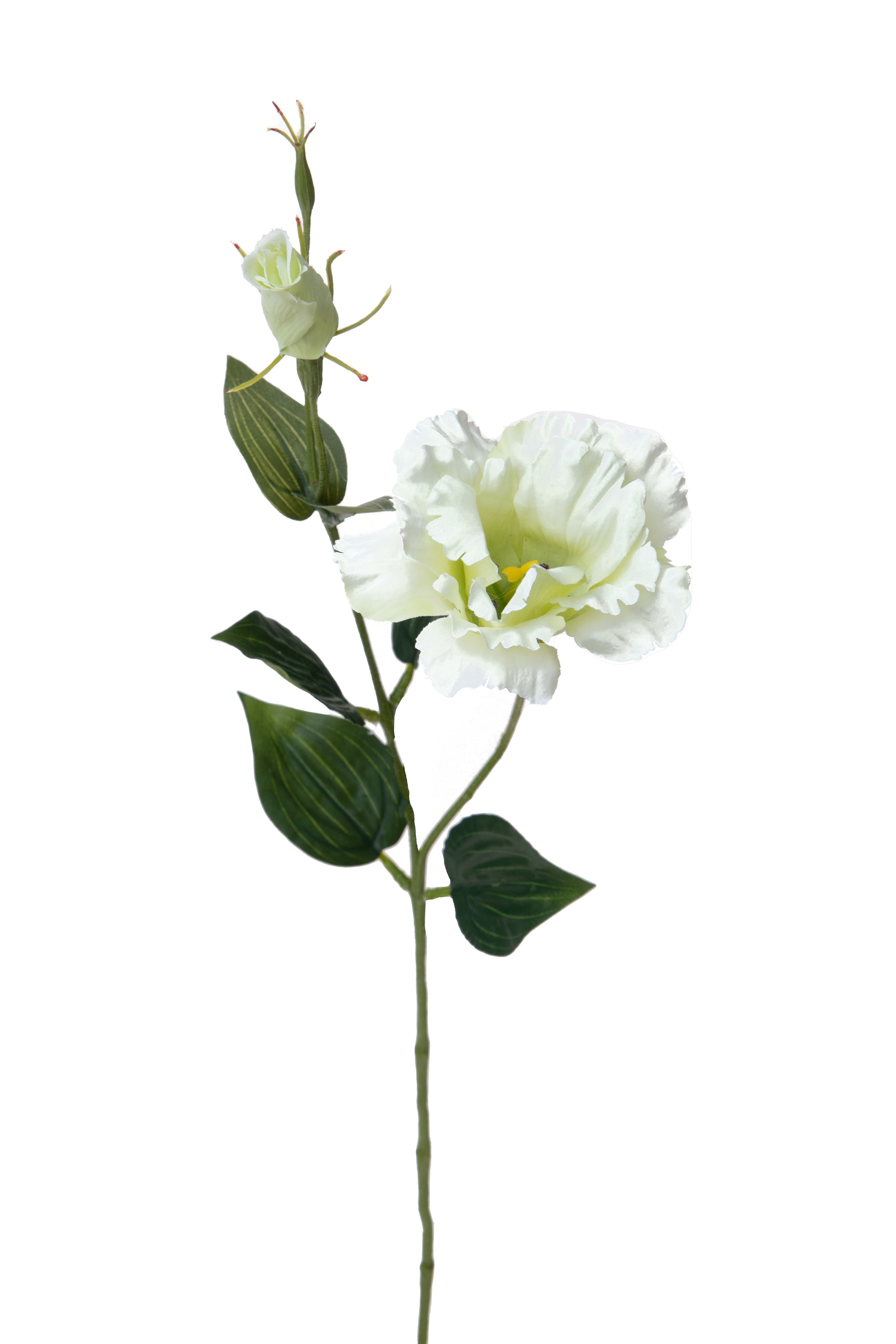 Set 12 Rami Artificiali Lisianthus 2 Fiori H 60 cm