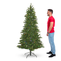 Mercury LED - Albero di Natale con luci LED in PE e PVC ø100x180H, 729 rami