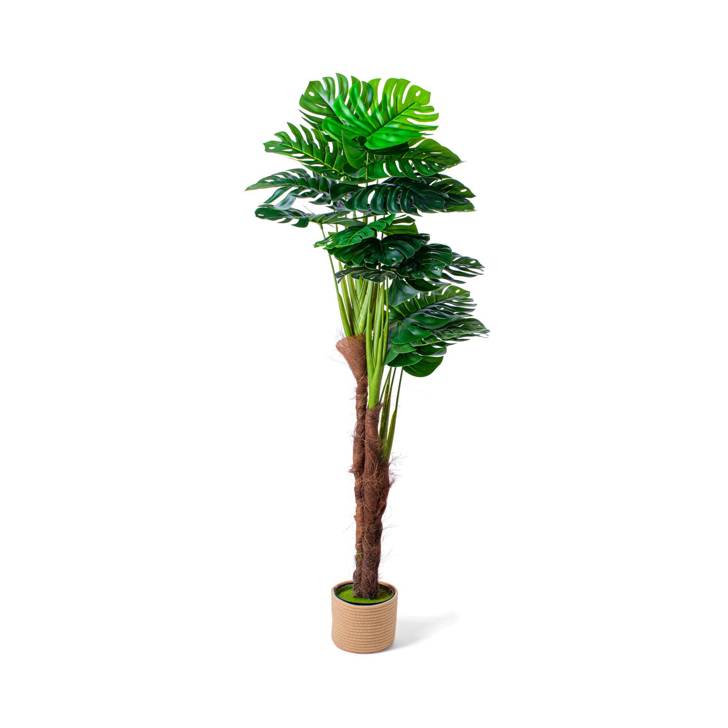 Monstera - Pianta Artificiale in vaso H160 cm