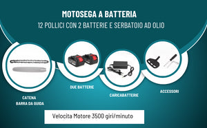 Motosega a Batteria per Potatura, Sega Elettrica 12 Pollici con 2 Batterie