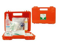 cassetta pronto soccorso - cm.23x35x12,5  fer68895