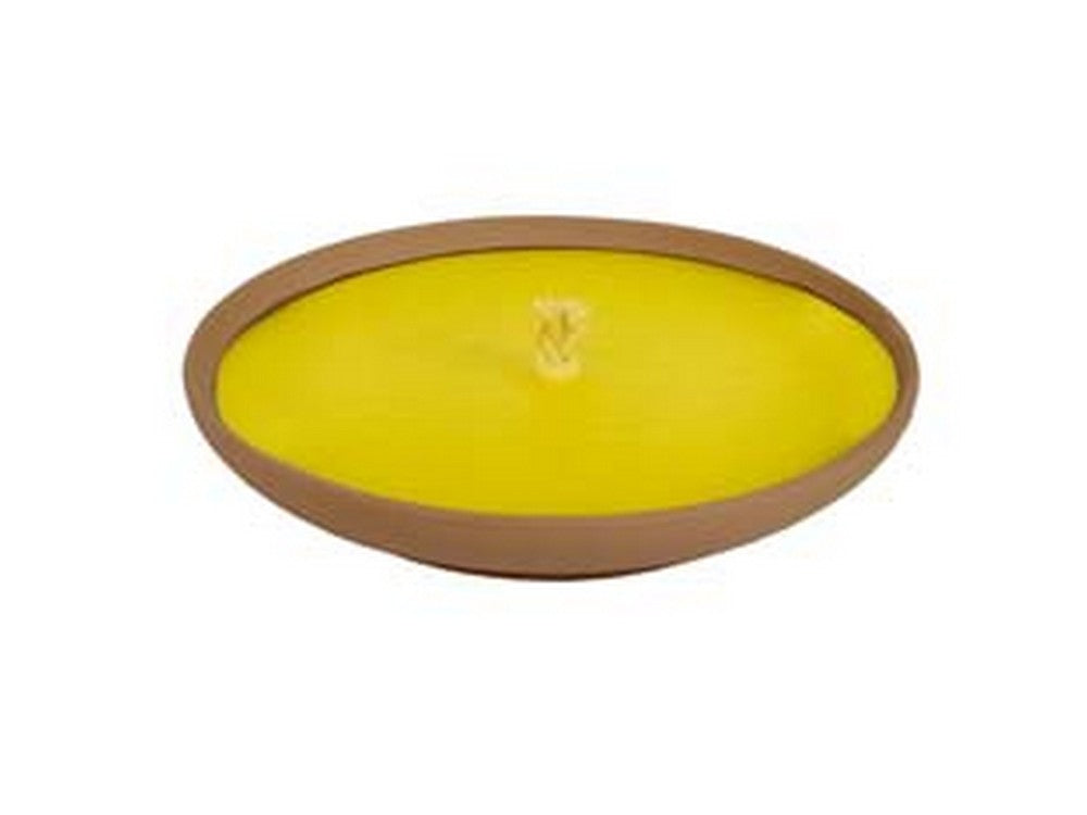 30pz citronella media in ciotola di terracotta - ? cm.15x3,5h. fer168977