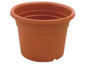 12pz vaso cilindro dahlia - ? cm.35x25h. fer289207