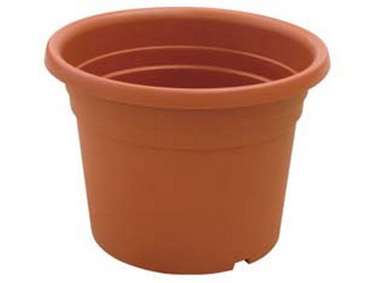 12pz vaso cilindro dahlia - ? cm.35x25h. fer289207