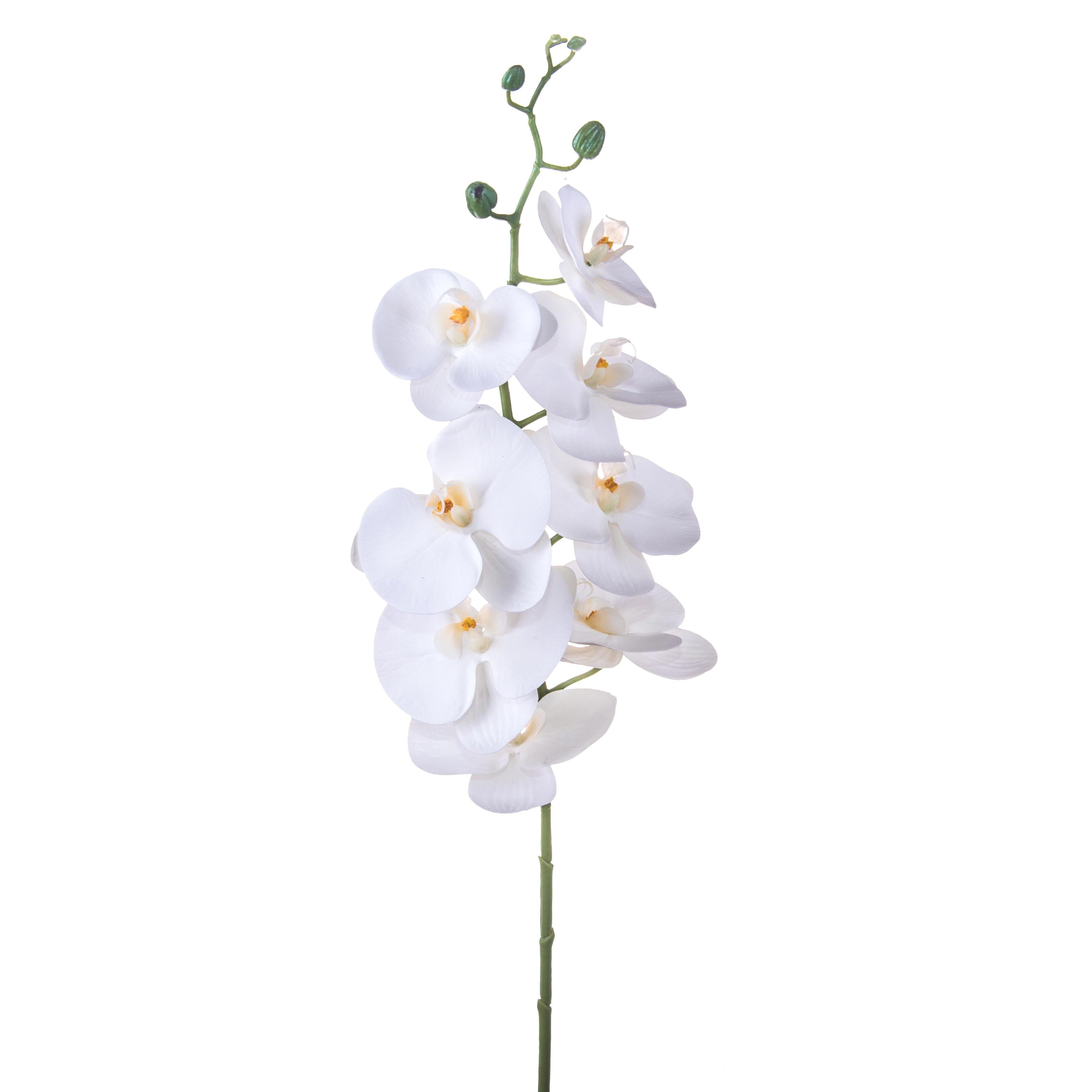 Set 3 Rami Artificiali Phalaenopsis con 8 Fiori H 103 cm