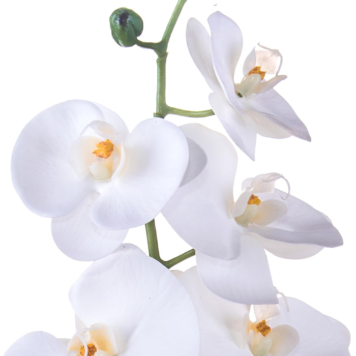 Set 3 Rami Artificiali Phalaenopsis con 8 Fiori H 103 cm