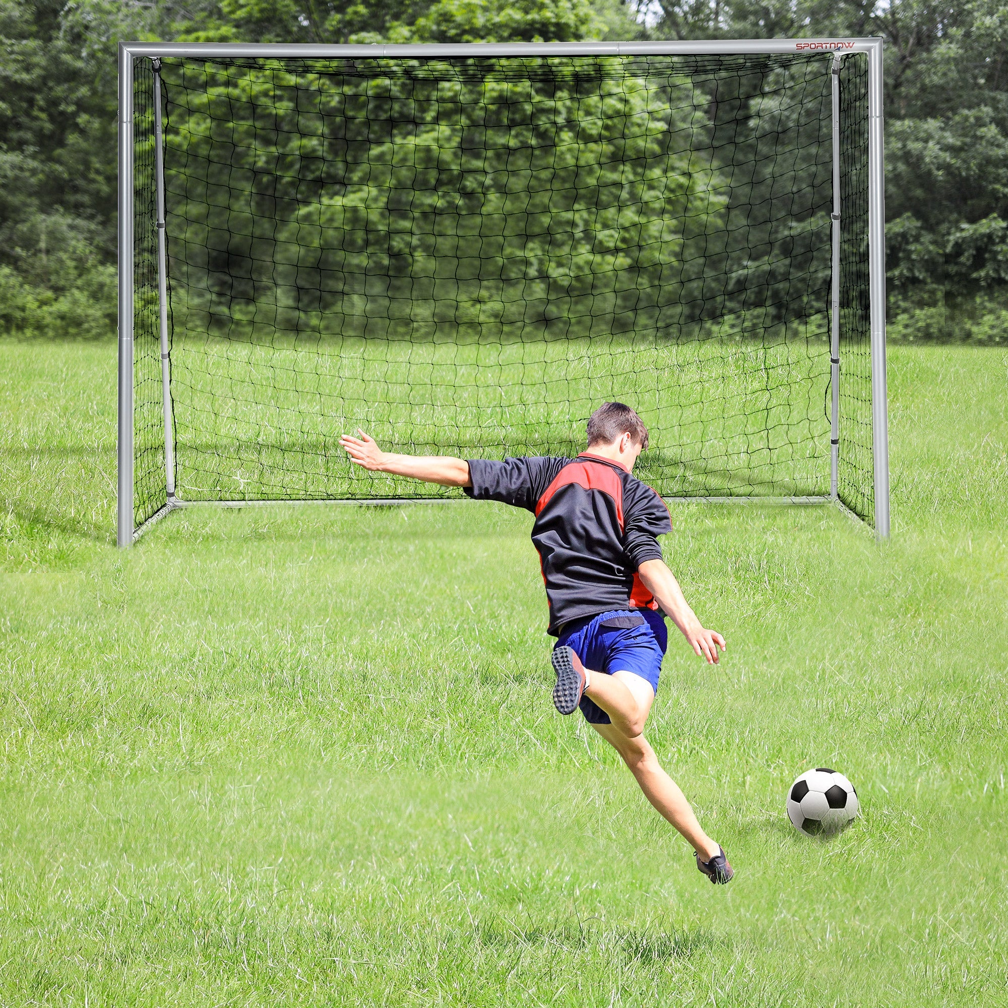 Porta da Calcio con Viti e Picchetti inclusi 300x120x200 cm in PE e Metallo Grigio