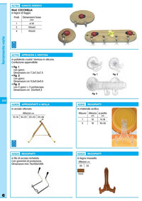 6blister blister appendipiatti a molla ottonati 16x25(pz.2) cod:ferx.99105