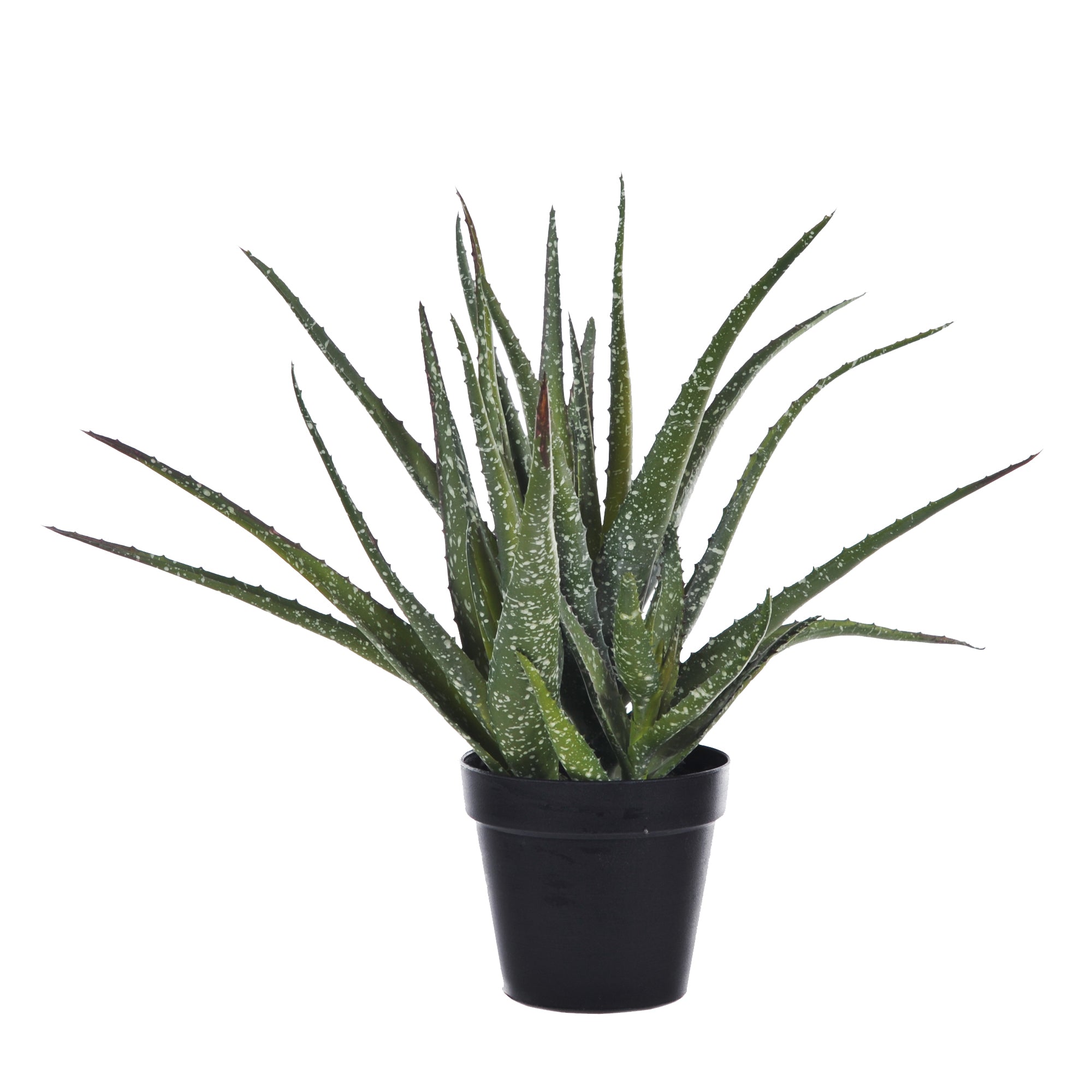 Pianta Artificiale Hawortia Aloe con Vaso H 355 cm