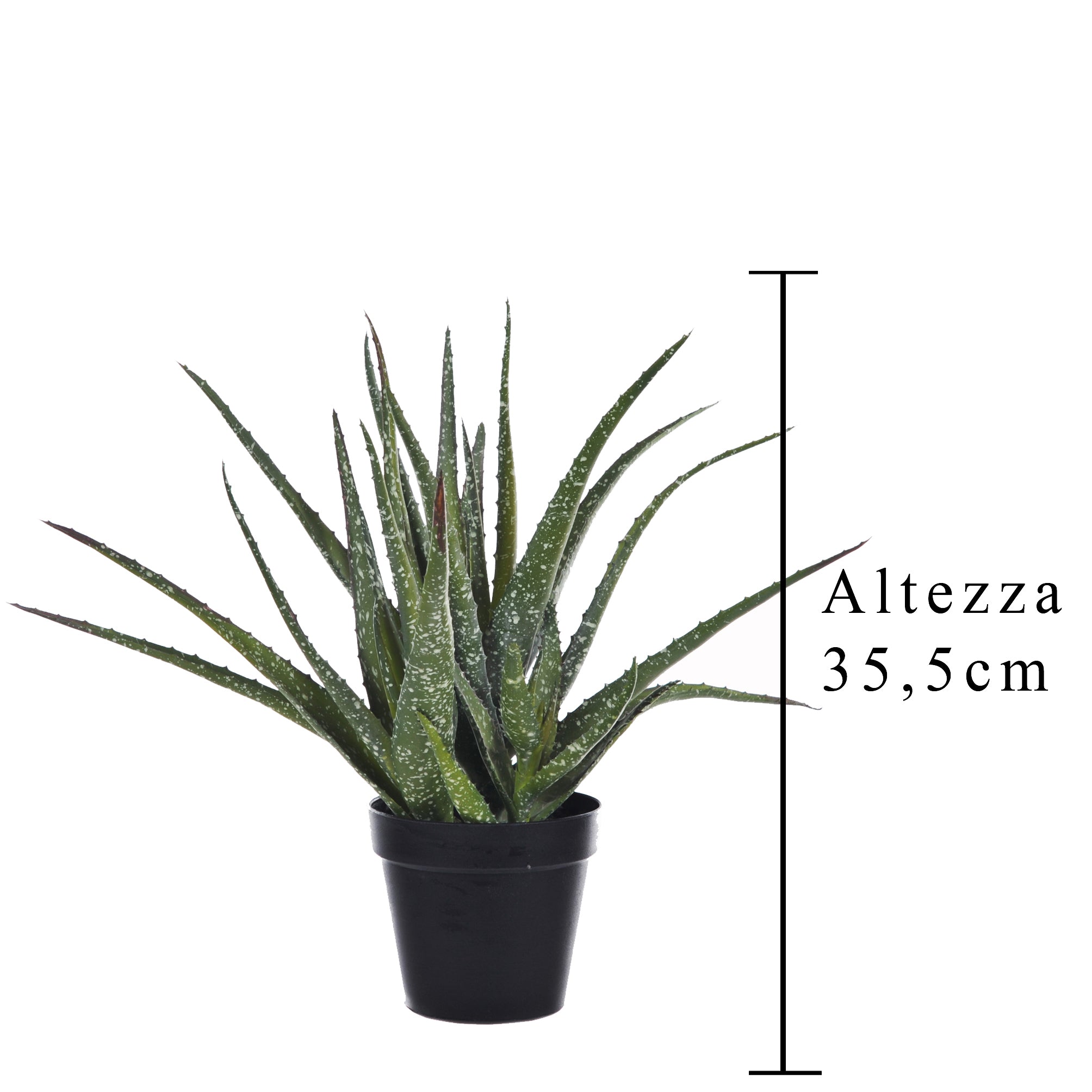 Pianta Artificiale Hawortia Aloe con Vaso H 355 cm