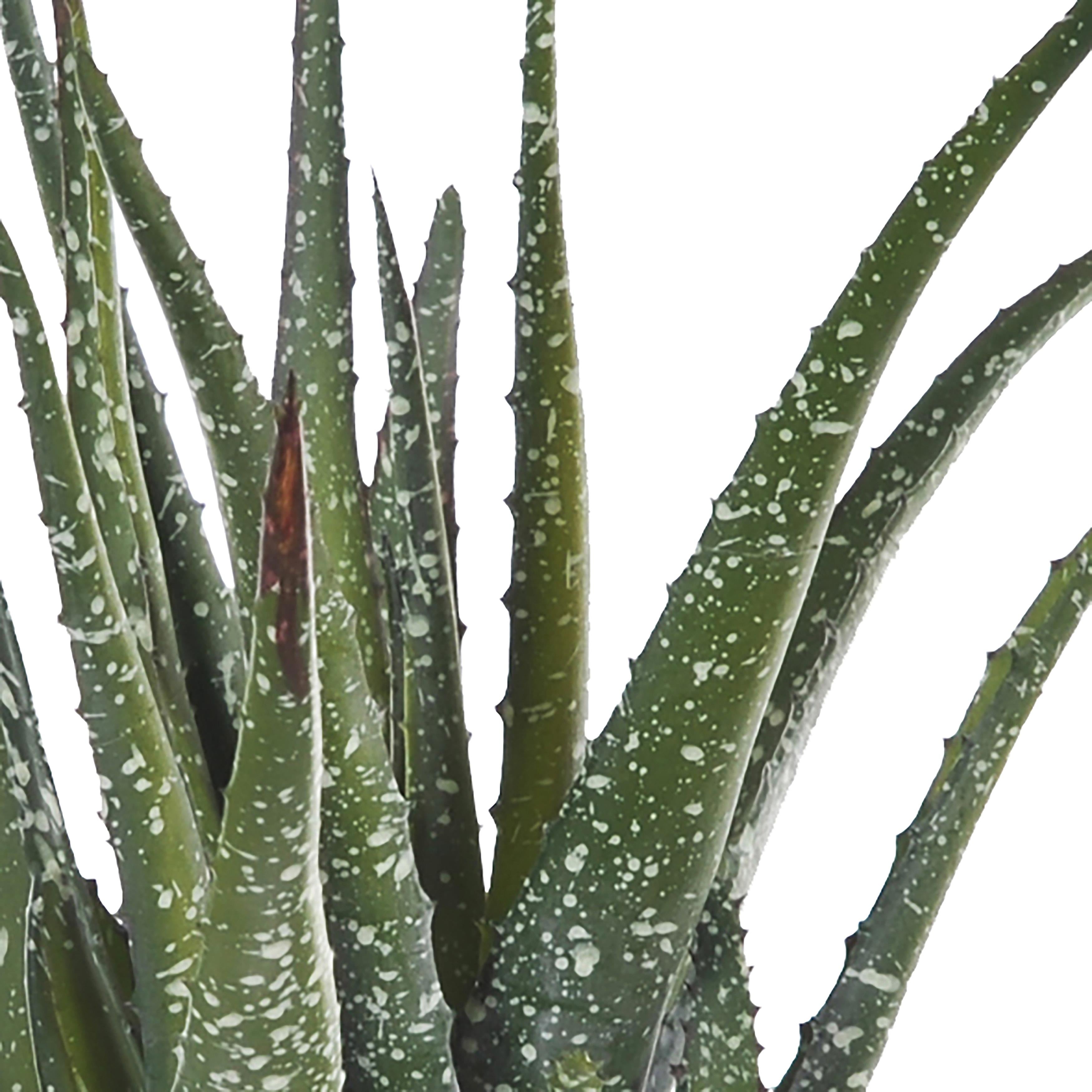 Pianta Artificiale Hawortia Aloe con Vaso H 355 cm