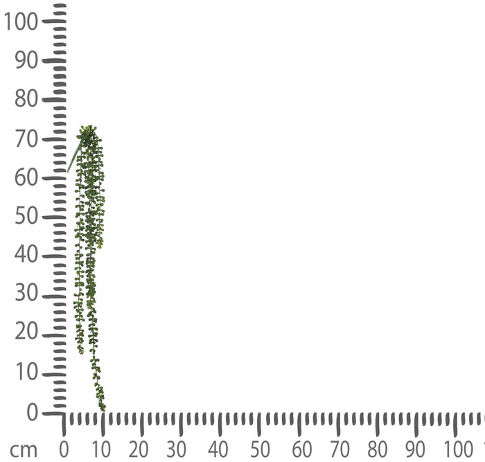 Set 2 Rami Artificiali Sedum Pendente con 5 Diramazioni H 74 cm