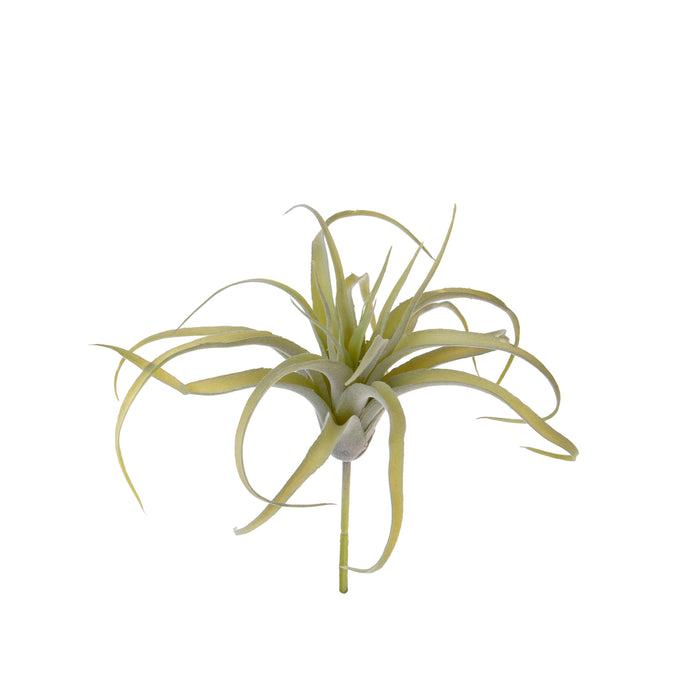 Set 4 Foglie Artificiali Tillandsia per 21 25 cm