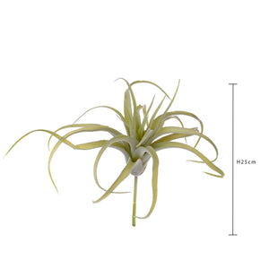 Set 4 Foglie Artificiali Tillandsia per 21 25 cm