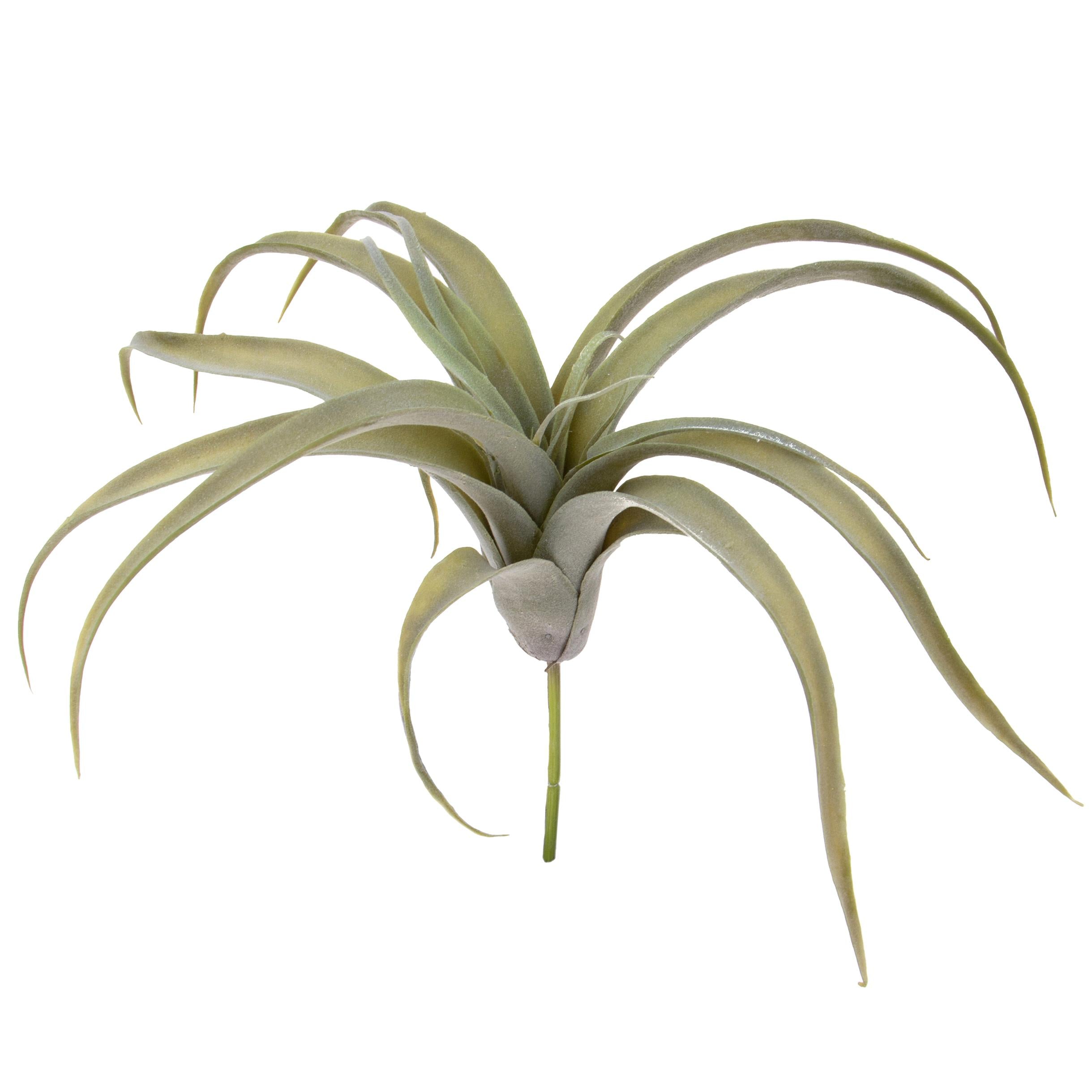 Set 2 Foglie Artificiali Tillandsia per 19 30 cm