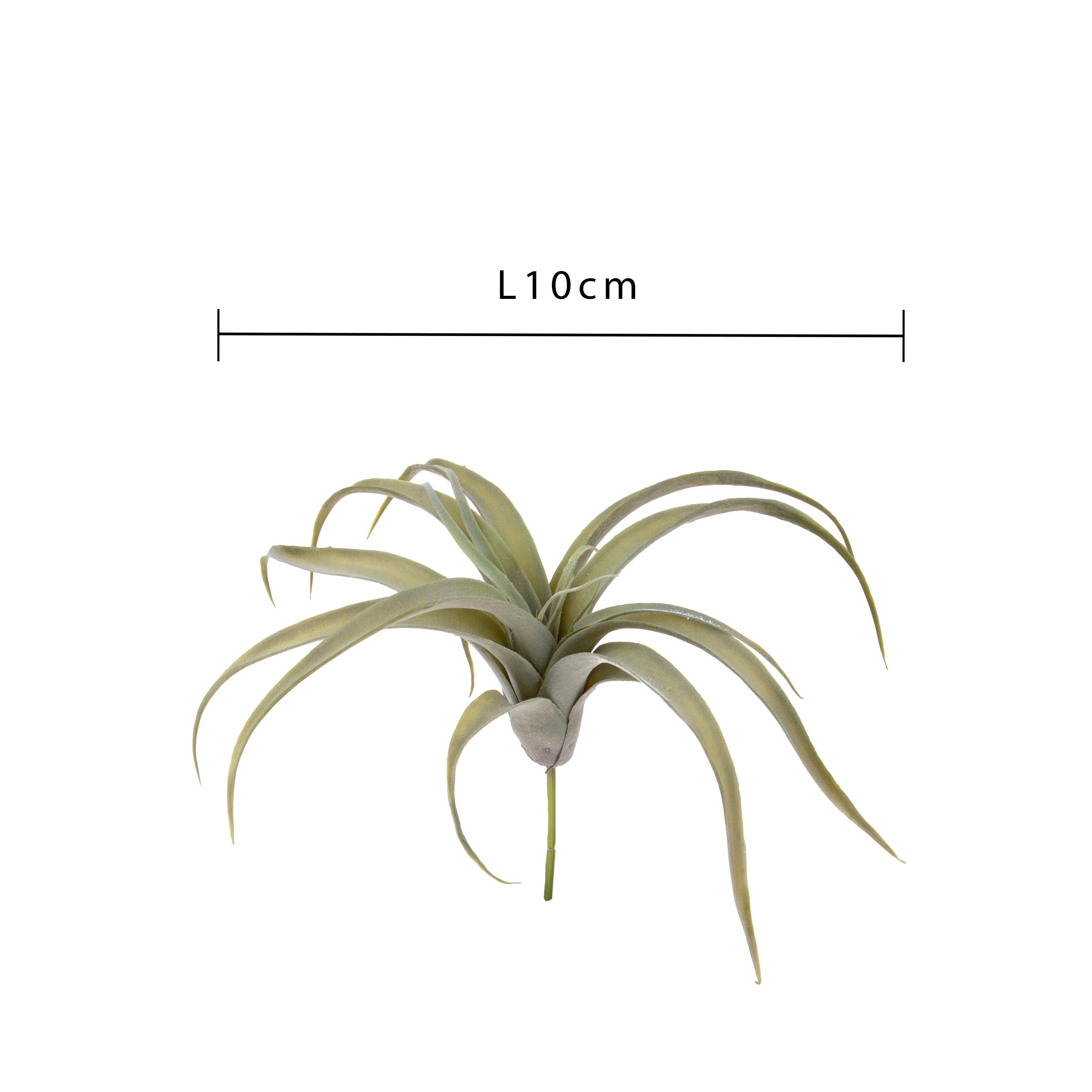 Set 2 Foglie Artificiali Tillandsia per 19 30 cm