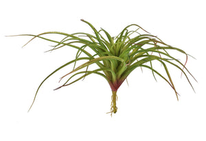 Set 3 Foglie Artificiali Tillandsia Misure 30x40 cm