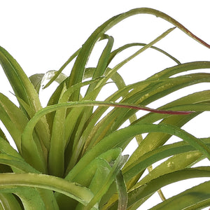 Set 3 Foglie Artificiali Tillandsia Misure 30x40 cm