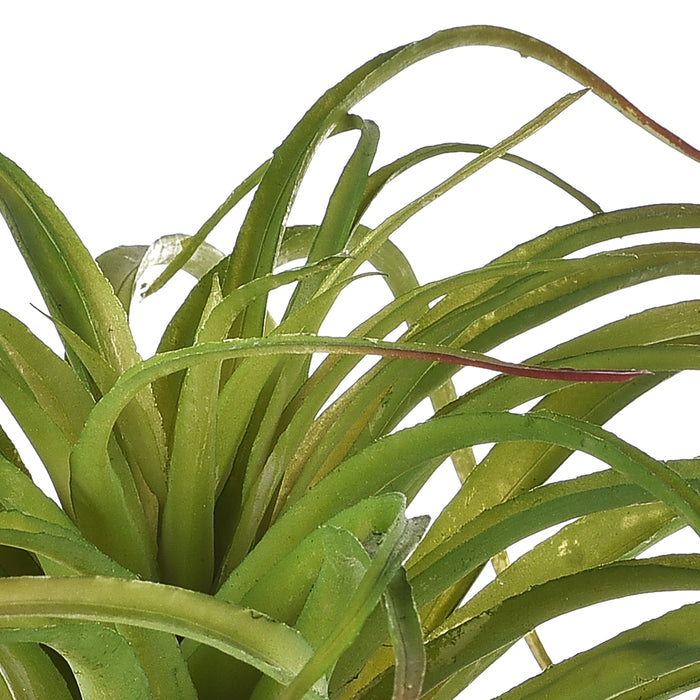 Set 3 Foglie Artificiali Tillandsia Misure 30x40 cm