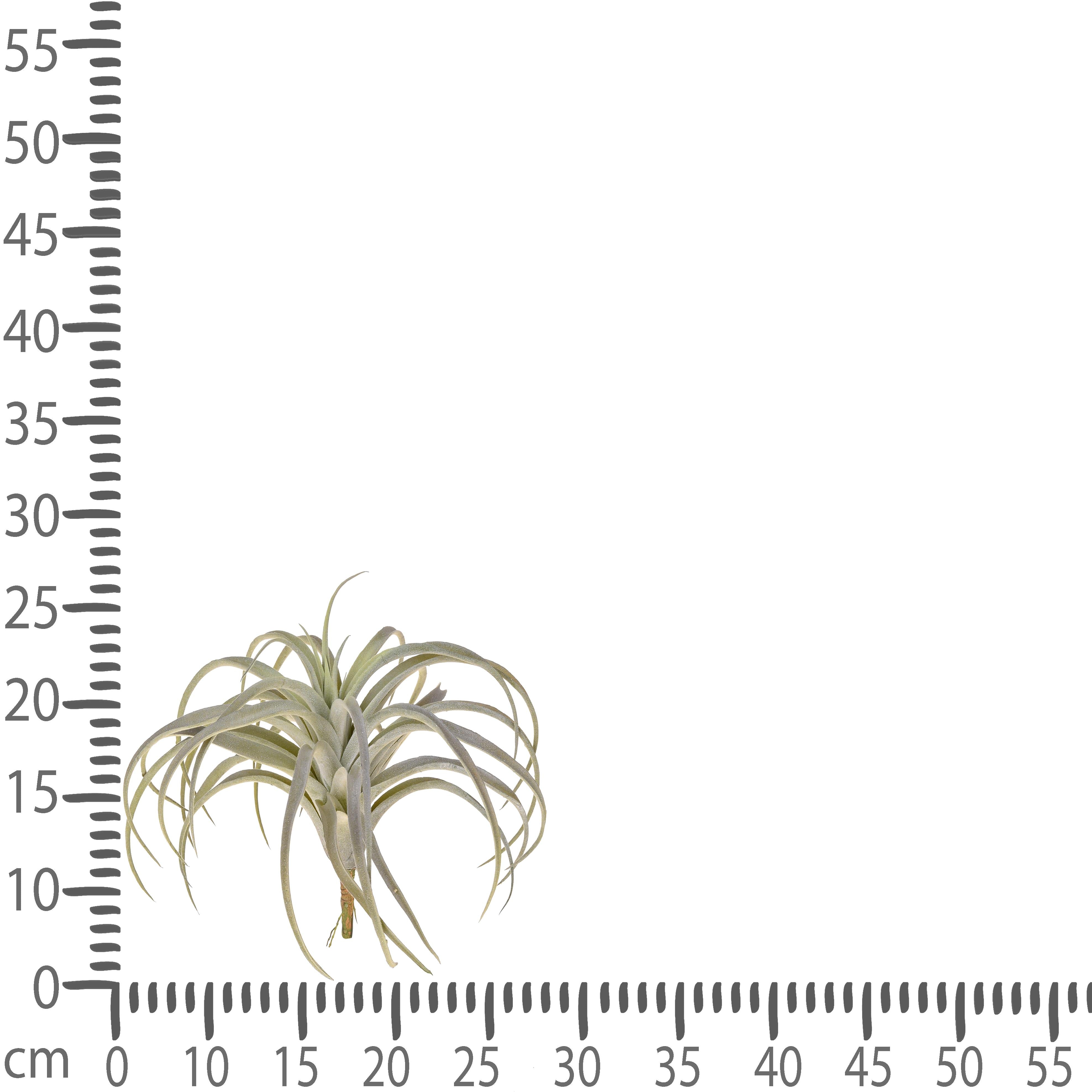 Set 2 Foglie Artificiali Tillandsia con 32 Foglie H 27 cm