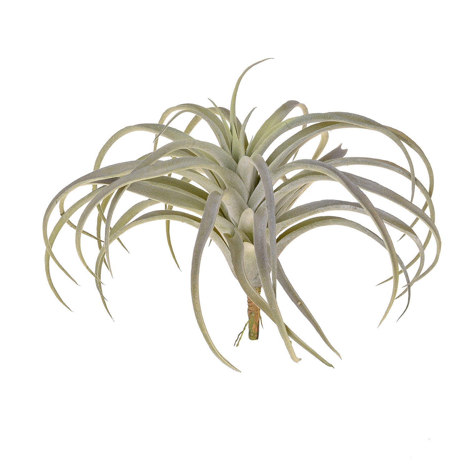 Set 2 Foglie Artificiali Tillandsia con 32 Foglie H 27 cm