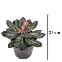 Pianta Artificiale Succulent con Vaso H 20 cm