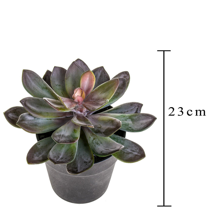 Pianta Artificiale Succulent con Vaso H 20 cm