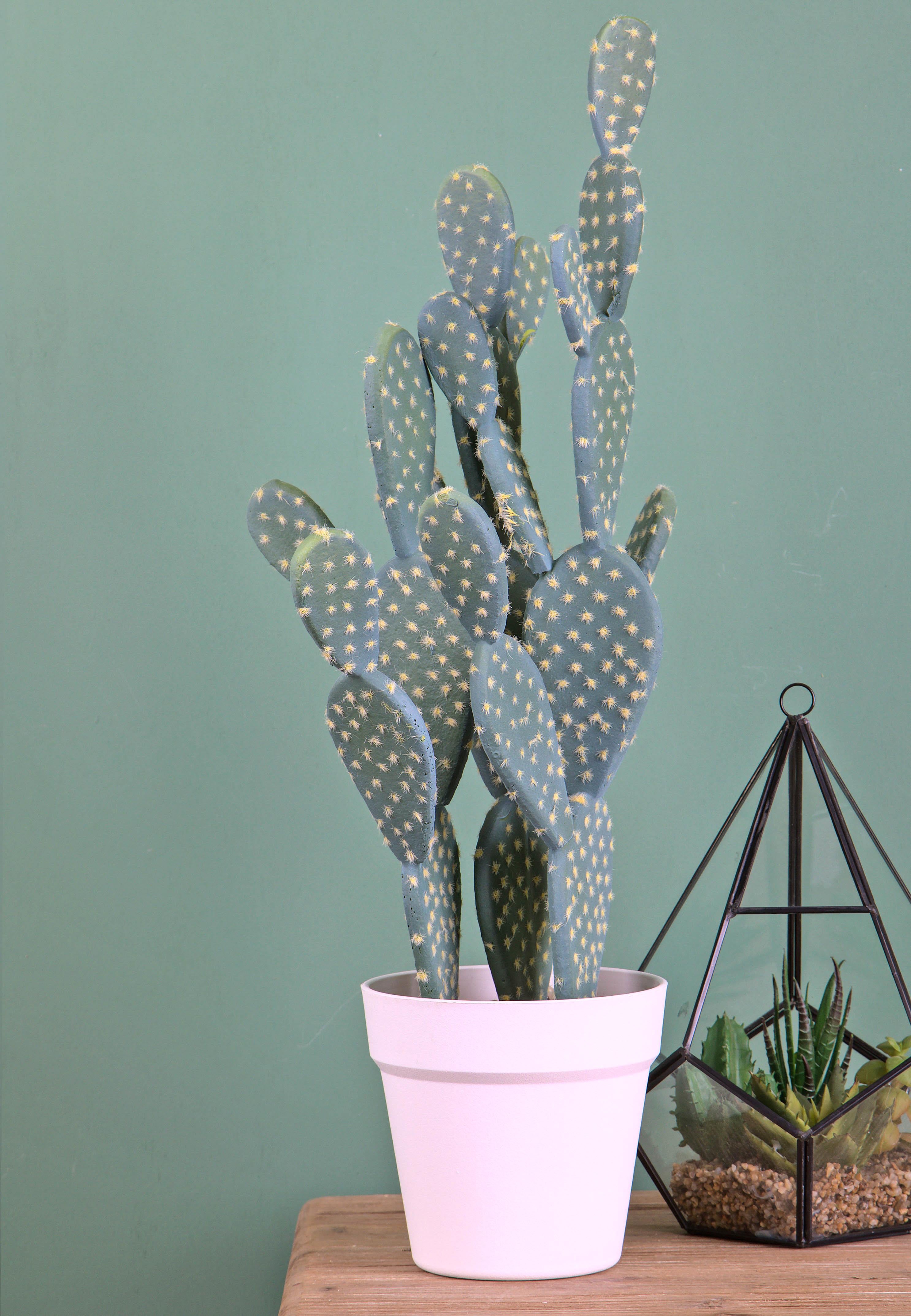 Pianta Artificiale Cactus Opunthia con Vaso H 56 cm