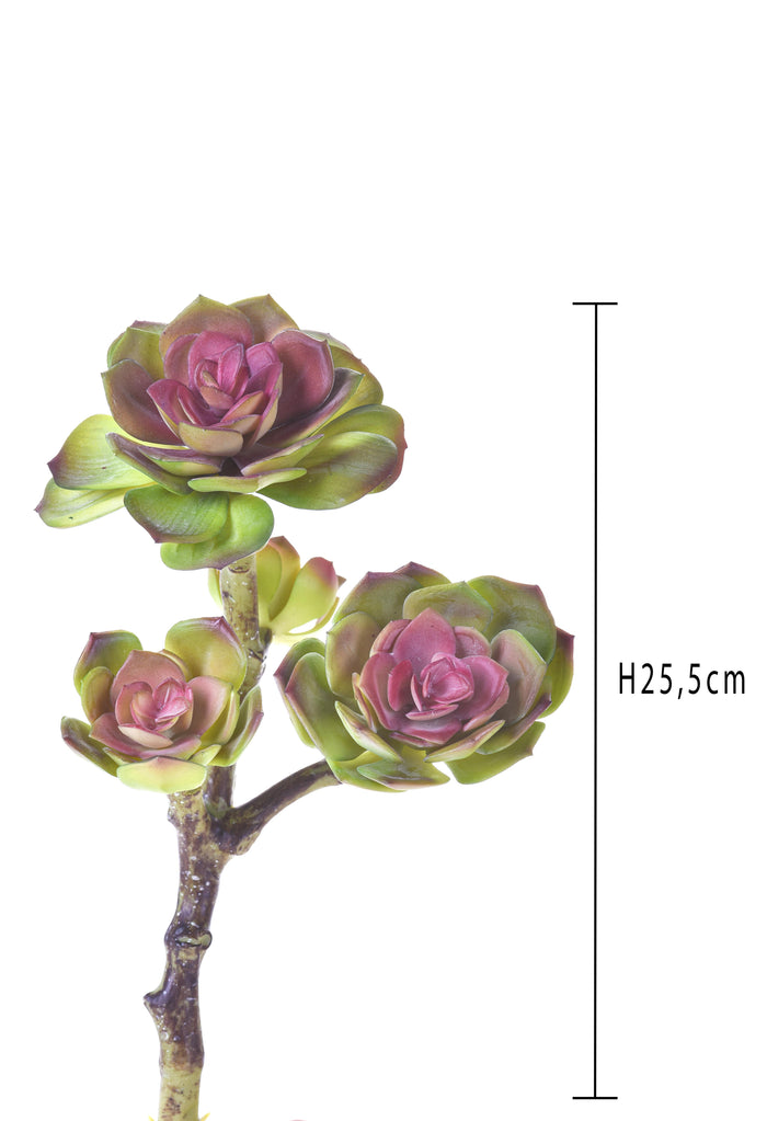 Set 2 Rami Artificiali Succulent Singolo H 255 cm