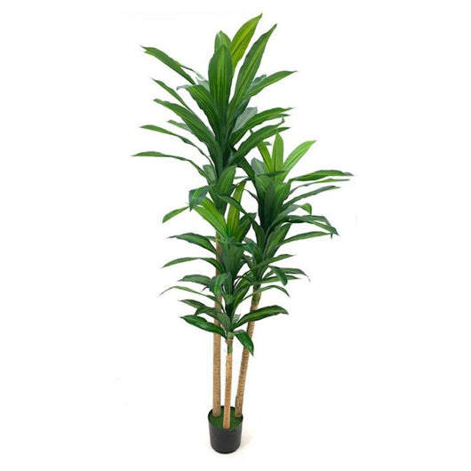 Pianta artificiale Dracena 180H 81 foglie con vaso