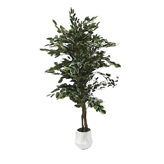 Pianta artificiale Ficus variegato 120h 768 foglie con vaso