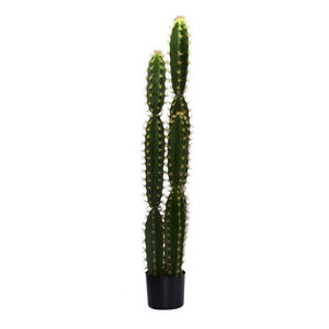 Pianta cactus con vaso tondo cmø18h124