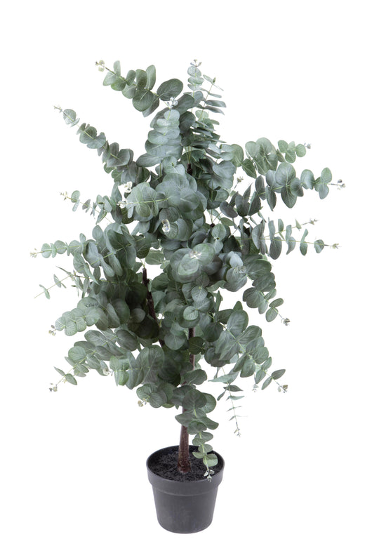 Pianta Artificiale Eucalyptus in Vaso H 110 cm