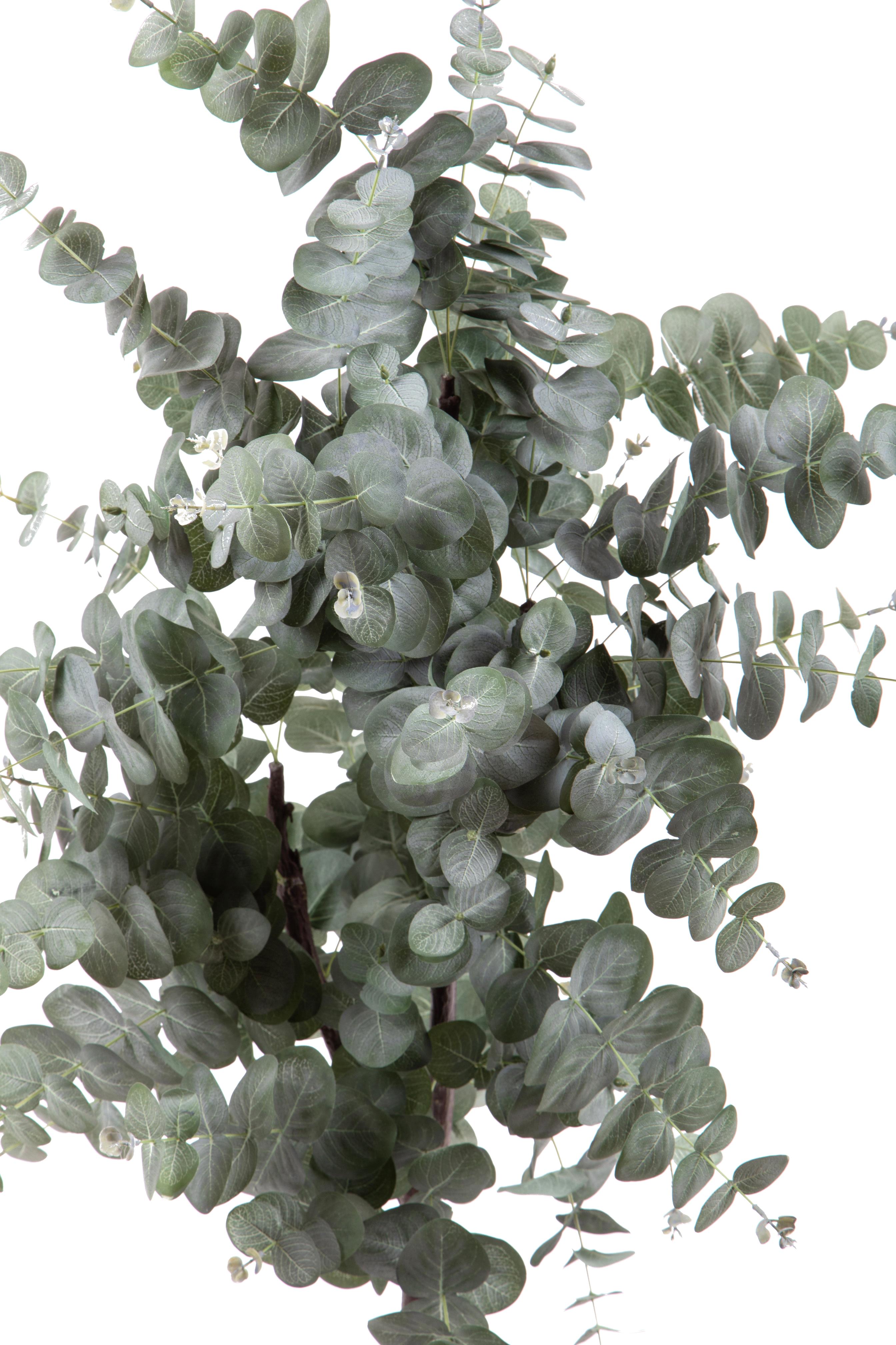 Pianta Artificiale Eucalyptus in Vaso H 110 cm