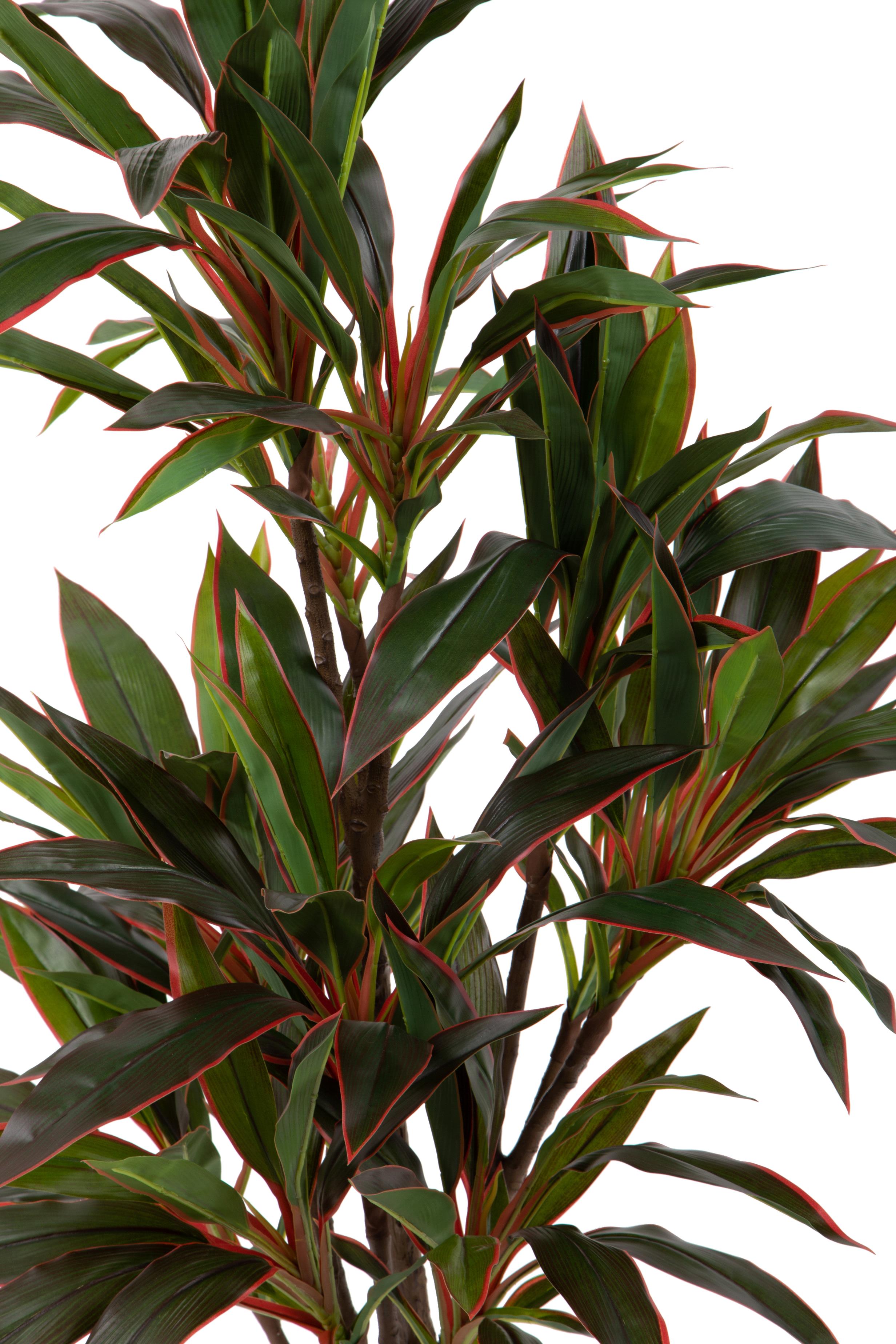 Pianta Artificiale Dracena Real Touch in Vaso H 115 cm