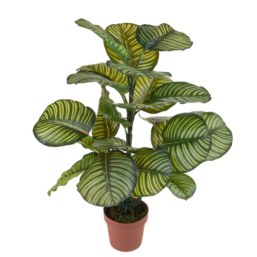 Pianta Artificiale Calathea in Vaso con 22 Foglie H 85 cm