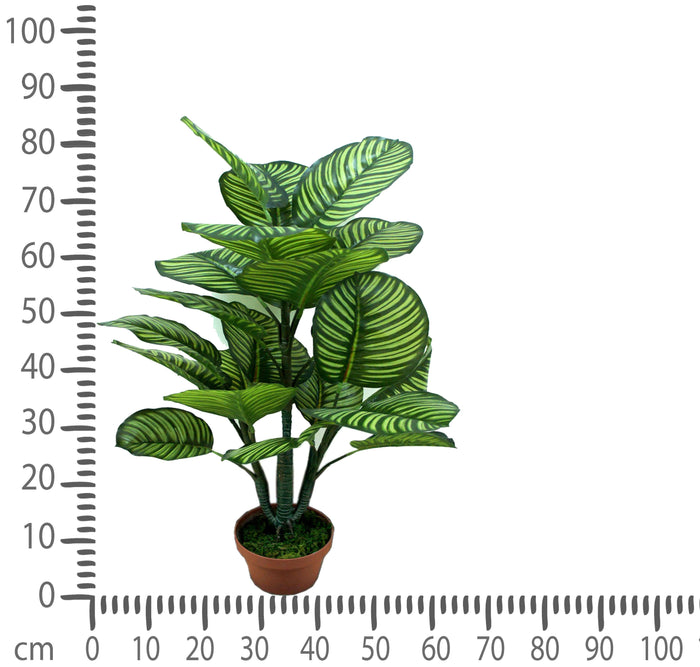 Pianta Artificiale Calathea in Vaso con 22 Foglie H 85 cm