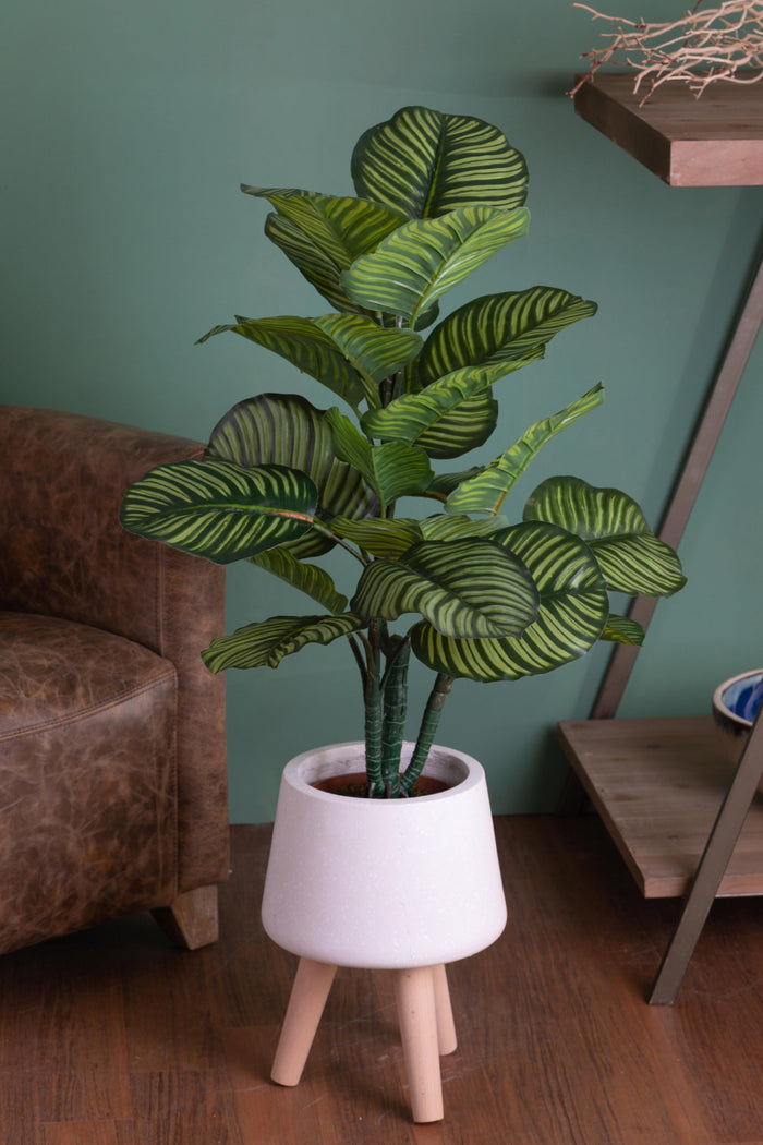 Pianta Artificiale Calathea in Vaso con 22 Foglie H 85 cm