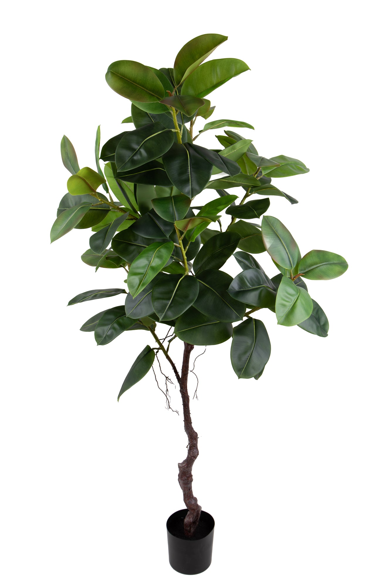 Pianta Artificiale Real Touch Rubber Ficus 210 cm con Vaso