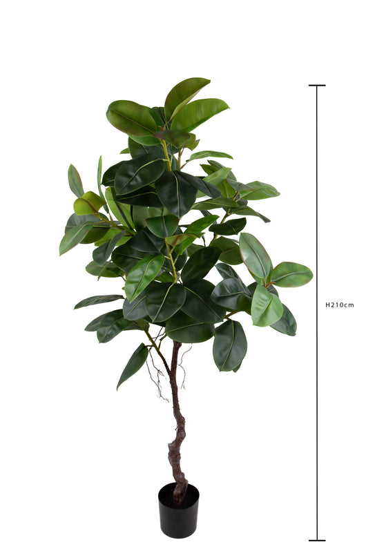 Pianta Artificiale Real Touch Rubber Ficus 210 cm con Vaso