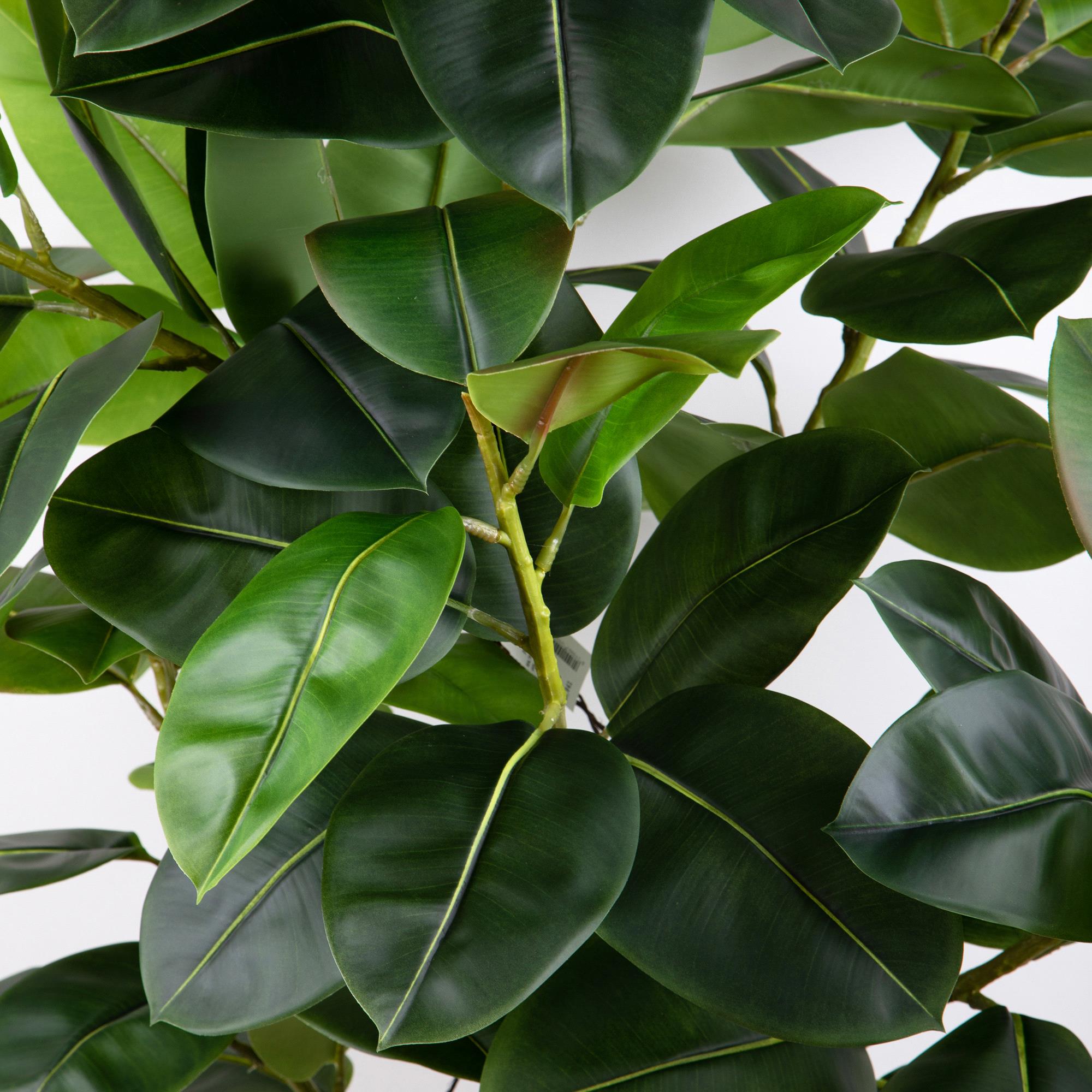 Pianta Artificiale Real Touch Rubber Ficus 210 cm con Vaso