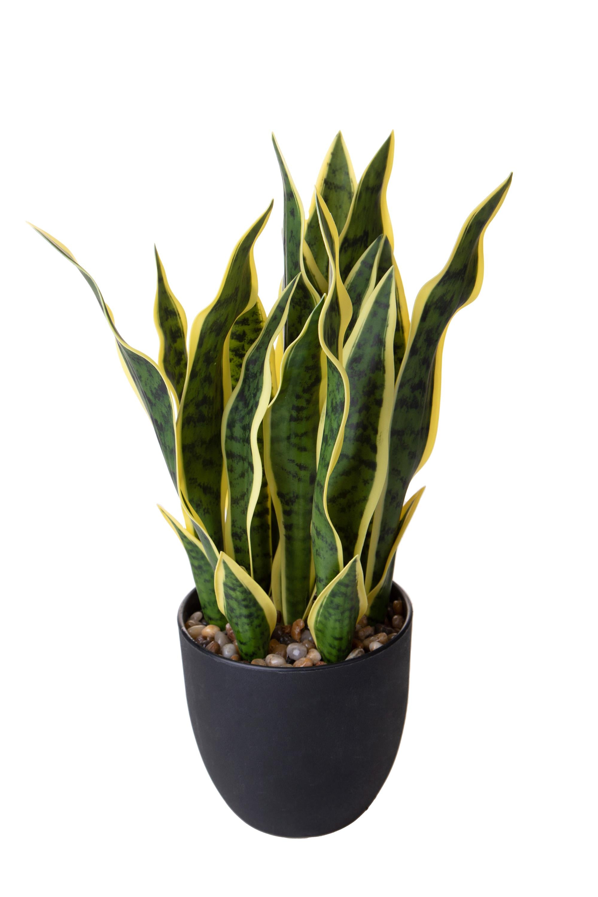 Pianta Artificiale Sanseveria con Vaso 48 cm