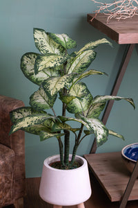 Pianta Artificiale Aglaonema in Vaso con 22 Foglie H 100 cm