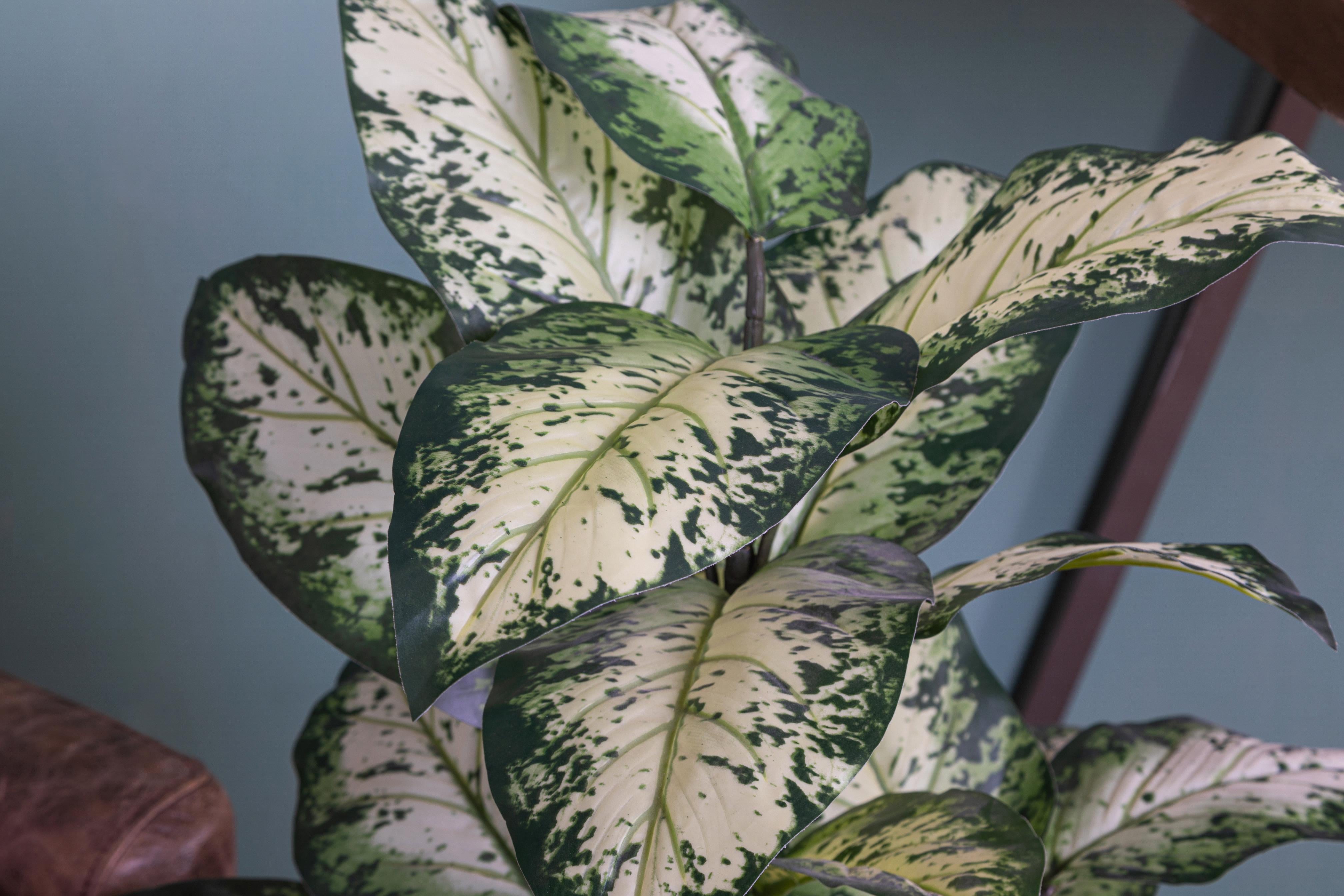 Pianta Artificiale Aglaonema in Vaso con 22 Foglie H 100 cm