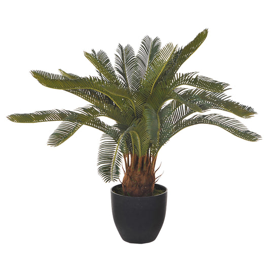 Pianta Artificiale Cycas con Vaso H 72 cm