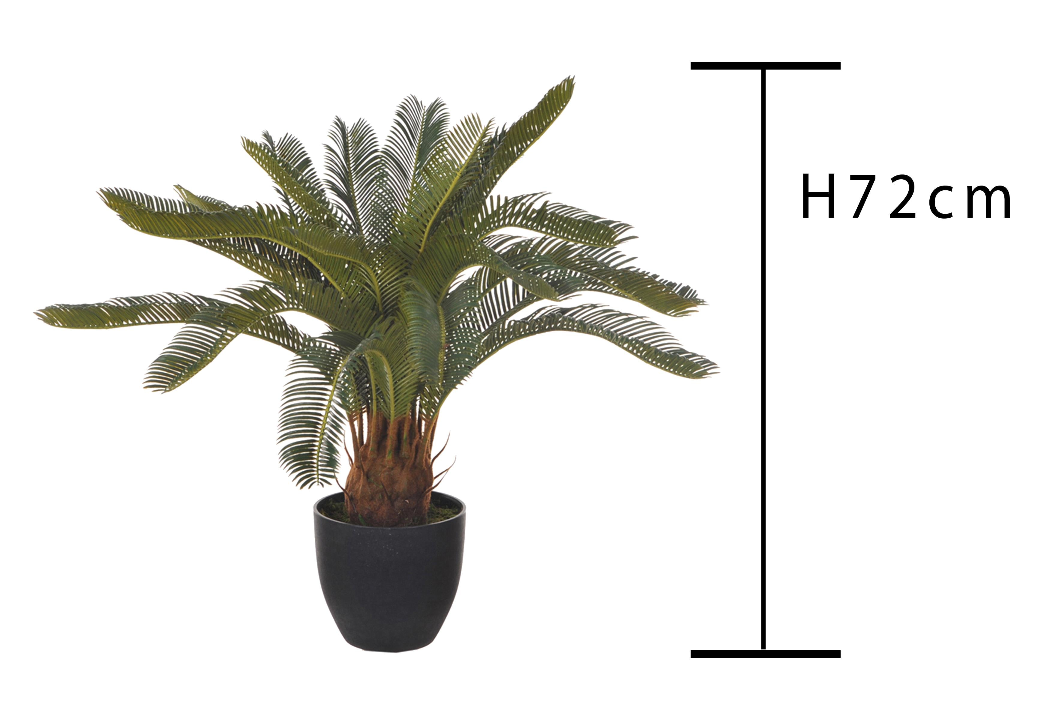 Pianta Artificiale Cycas con Vaso H 72 cm