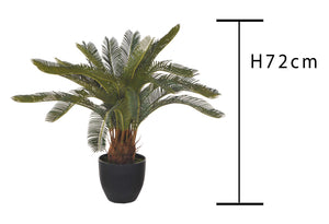 Pianta Artificiale Cycas con Vaso H 72 cm