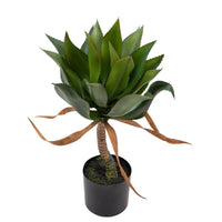 Pianta Artificiale Agave 71 cm con Vaso